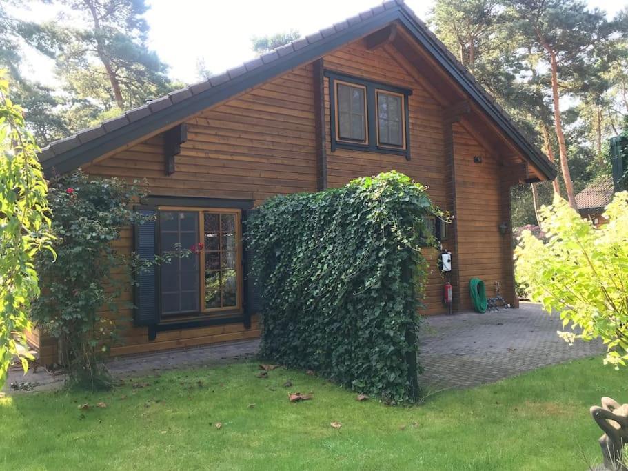 Houten Chalet/Bungalow In Het Bos, Sauna, Jacuzzi Meijel 외부 사진
